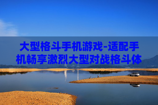 大型格斗手机游戏-适配手机畅享激烈大型对战格斗体验