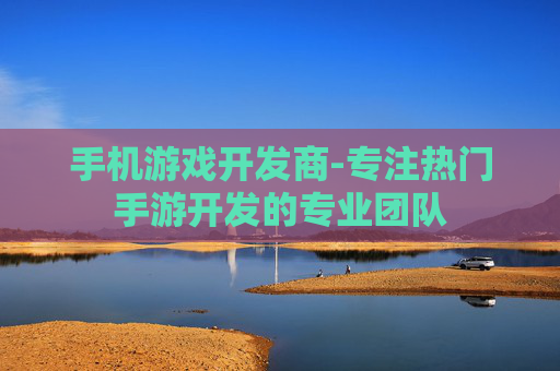 手机游戏开发商-专注热门手游开发的专业团队