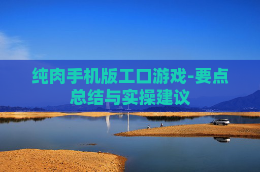 纯肉手机版工口游戏-要点总结与实操建议