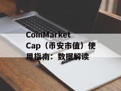 CoinMarketCap（币安市值）使用指南：数据解读