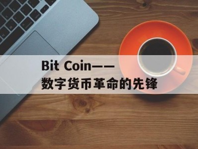 Bit Coin——数字货币革命的先锋